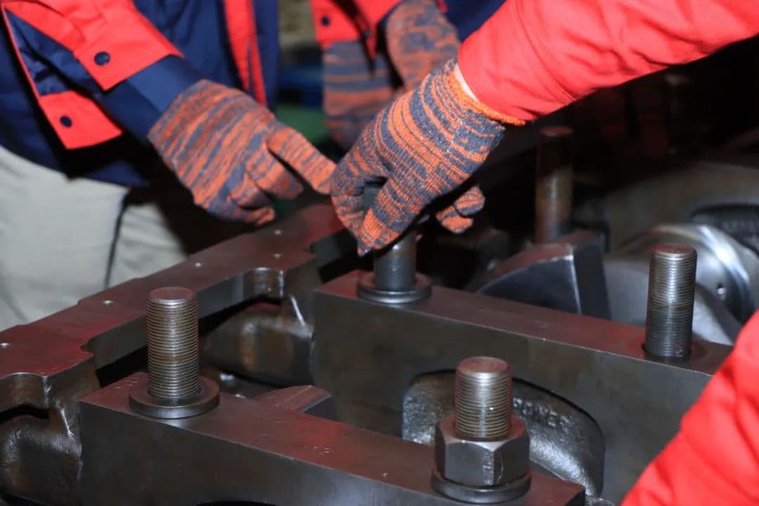 1698677267541775. jpg